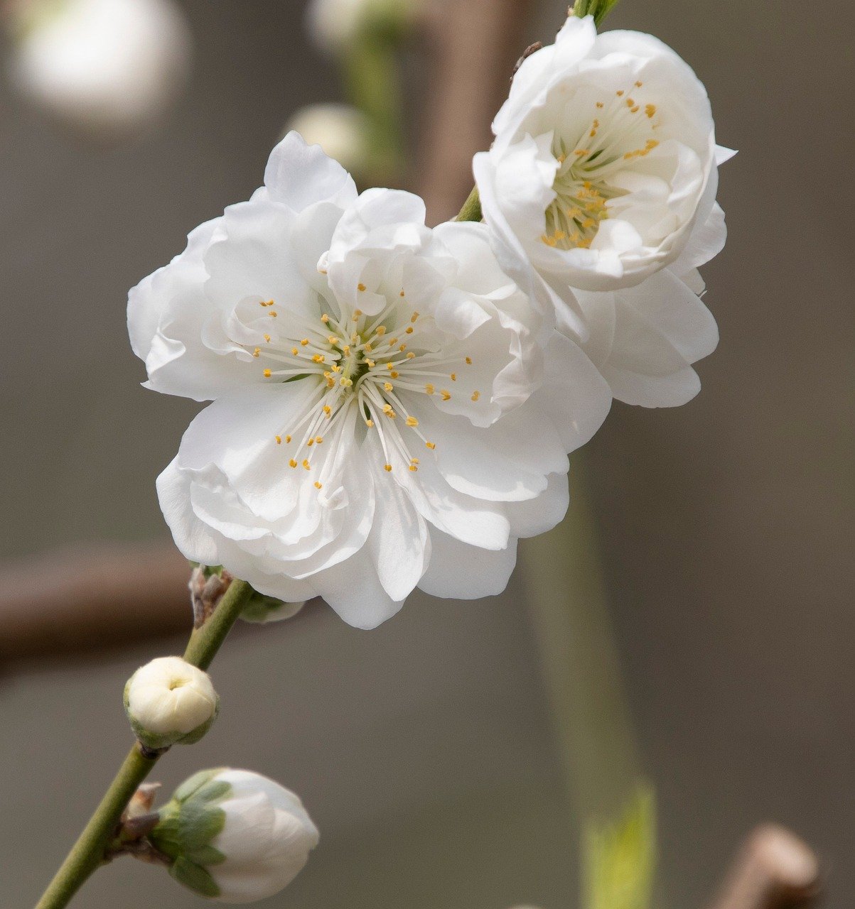 Empezar el año en terapia: un regalo que te haces a ti mismo
